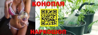 первитин Камышлов