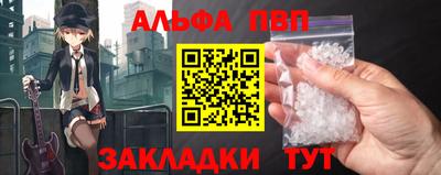 тгк Кингисепп