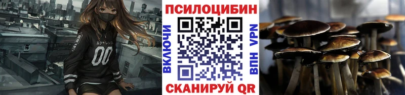 дарнет шоп  Малоярославец  Галлюциногенные грибы Psilocybe 
